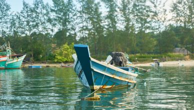 Lomba Perahu Jong Bintan Regatta